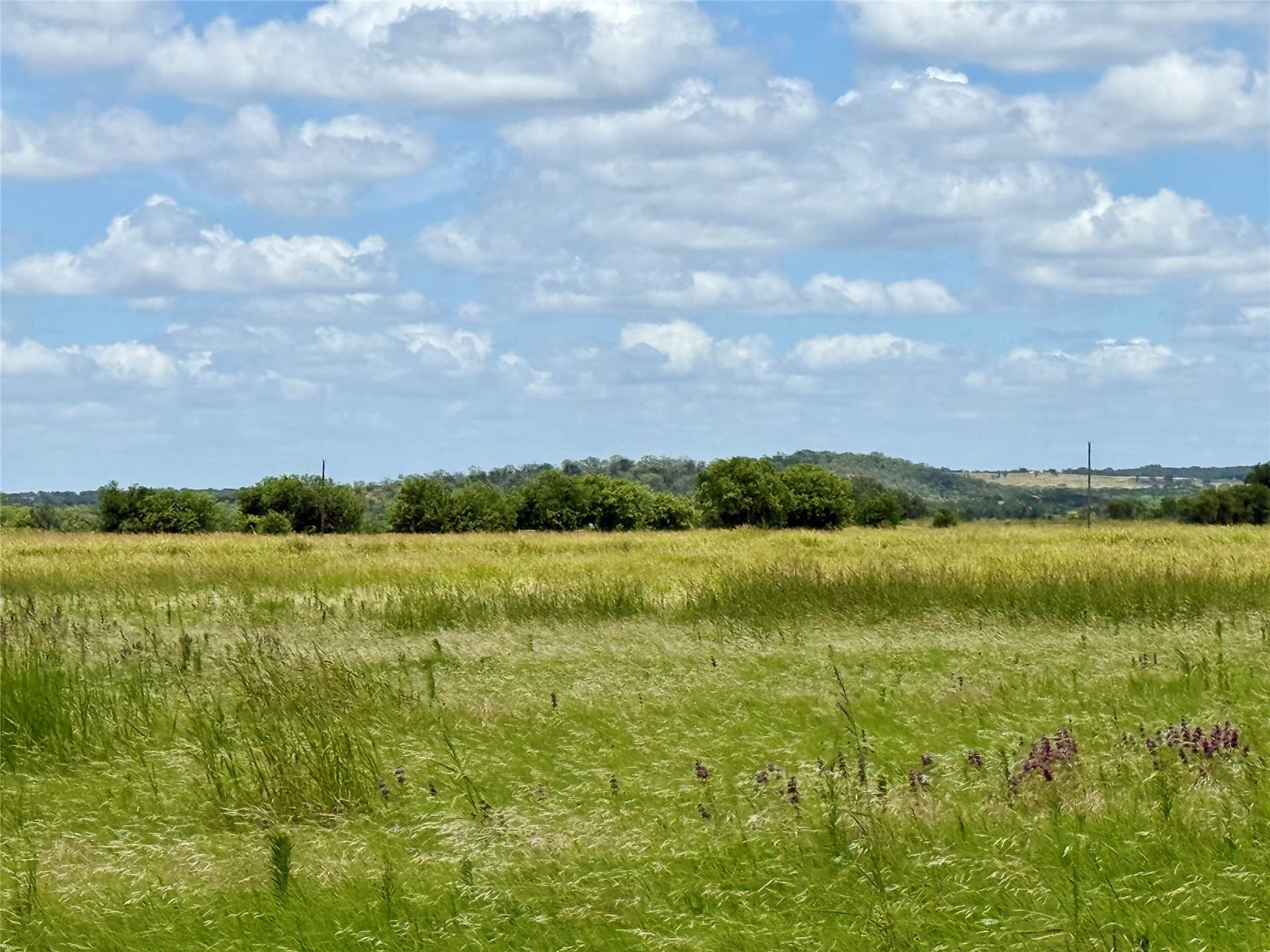 14.08 acres in Mills County - photo 33