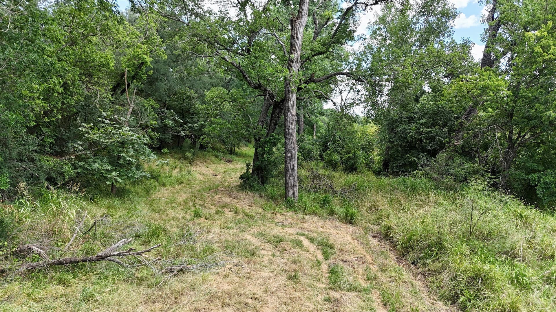 14.08 acres in Mills County - photo 18