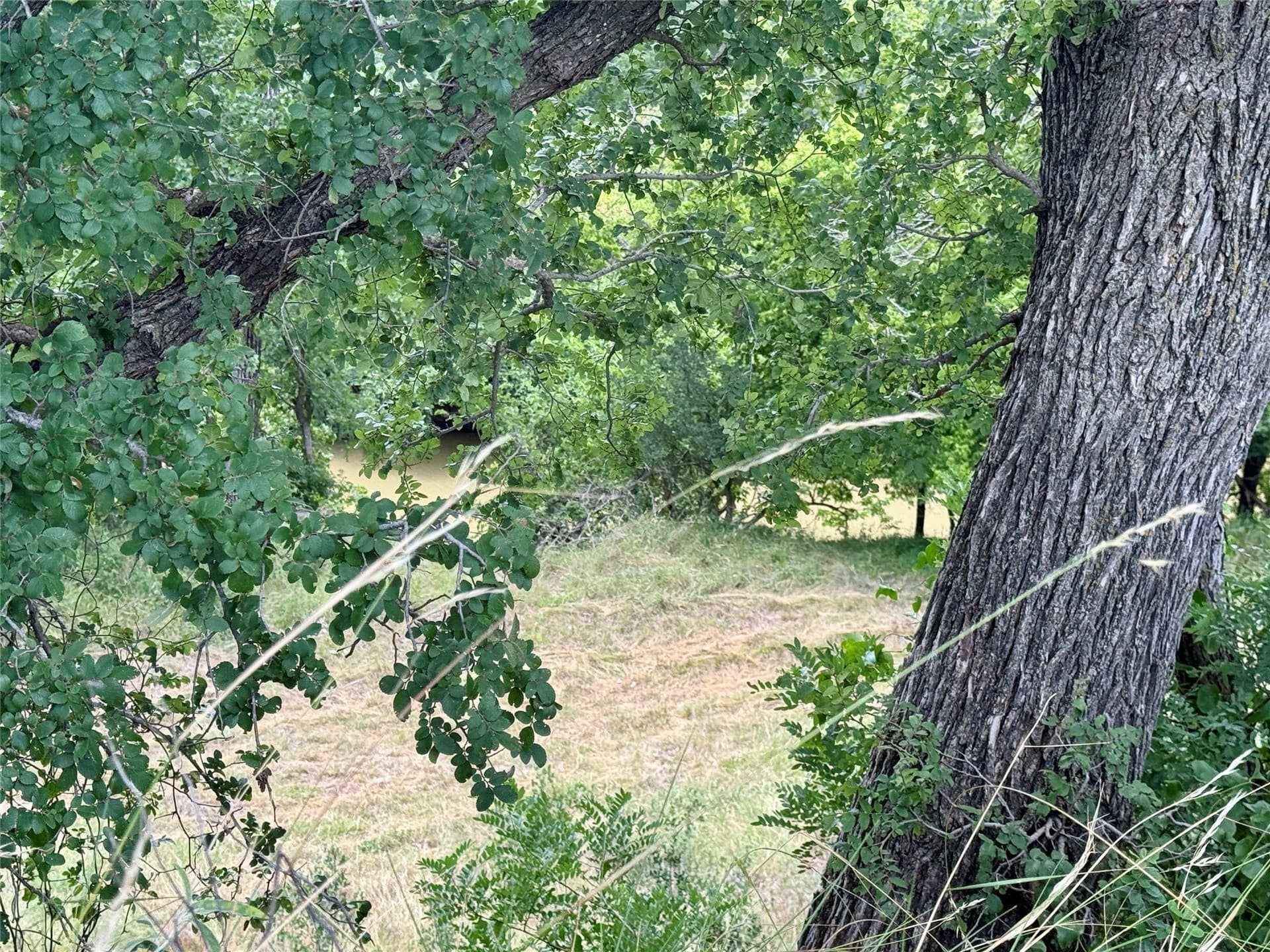 14.08 acres in Mills County - photo 30