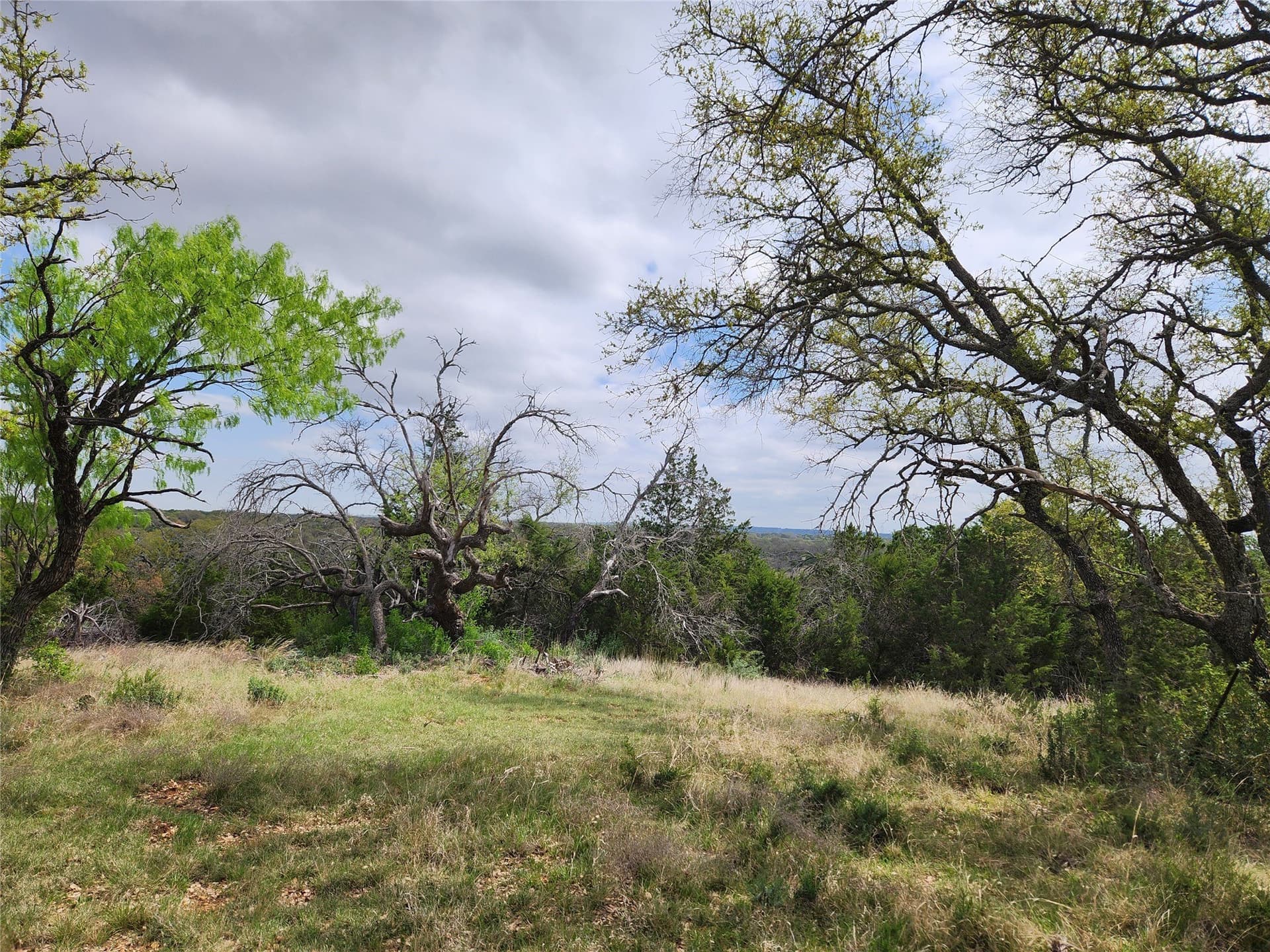 14.62 acres in Mills County