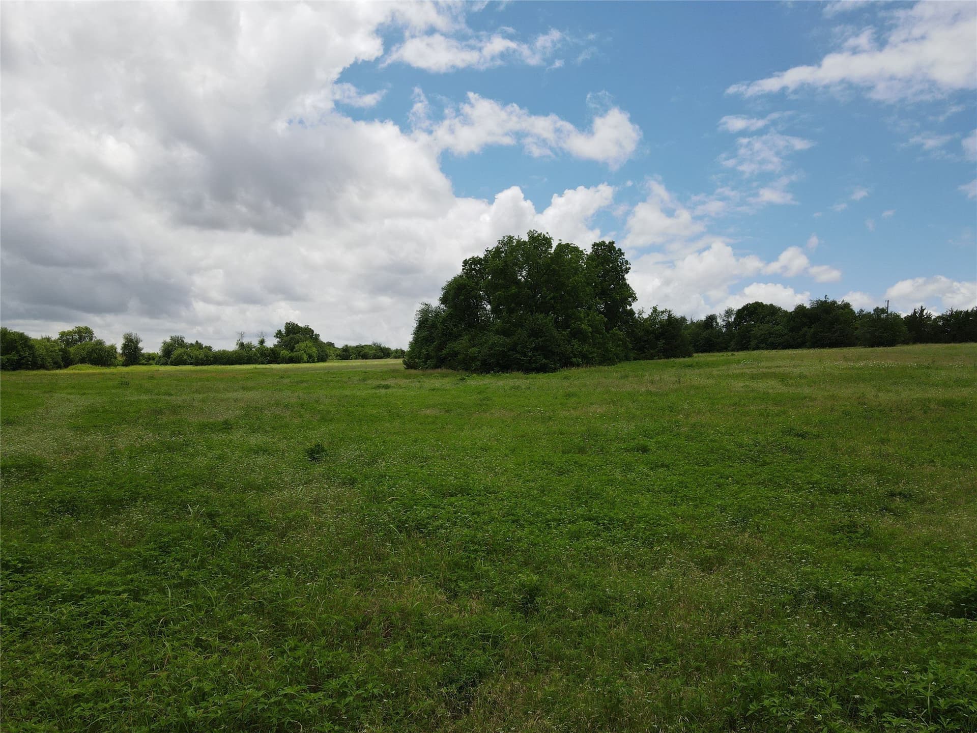 10.8 acres in Fannin County - photo 12