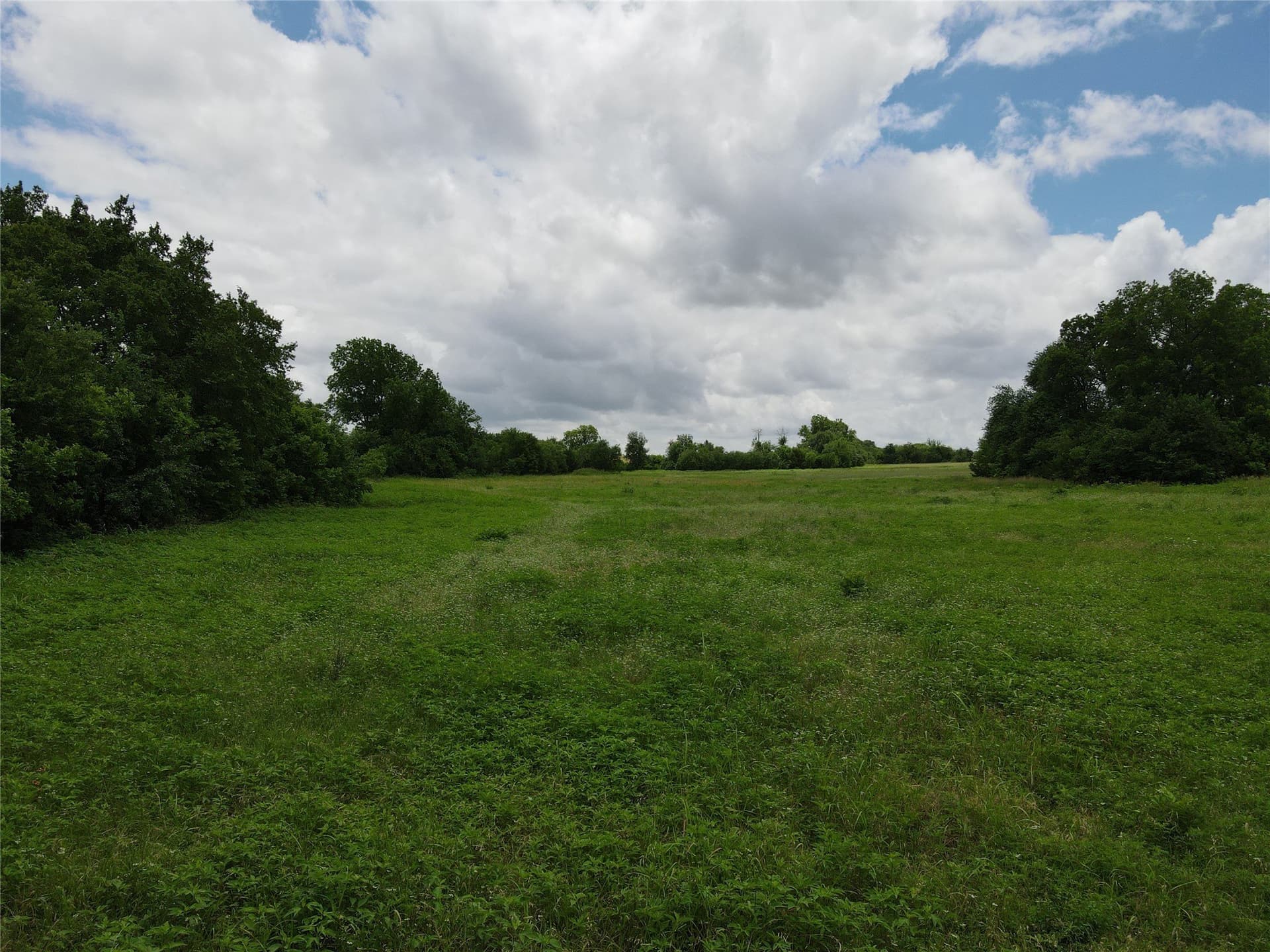 10.8 acres in Fannin County - photo 13
