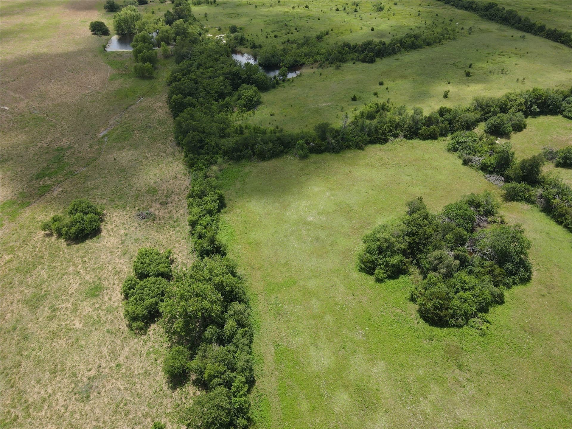 10.8 acres in Fannin County - photo 8