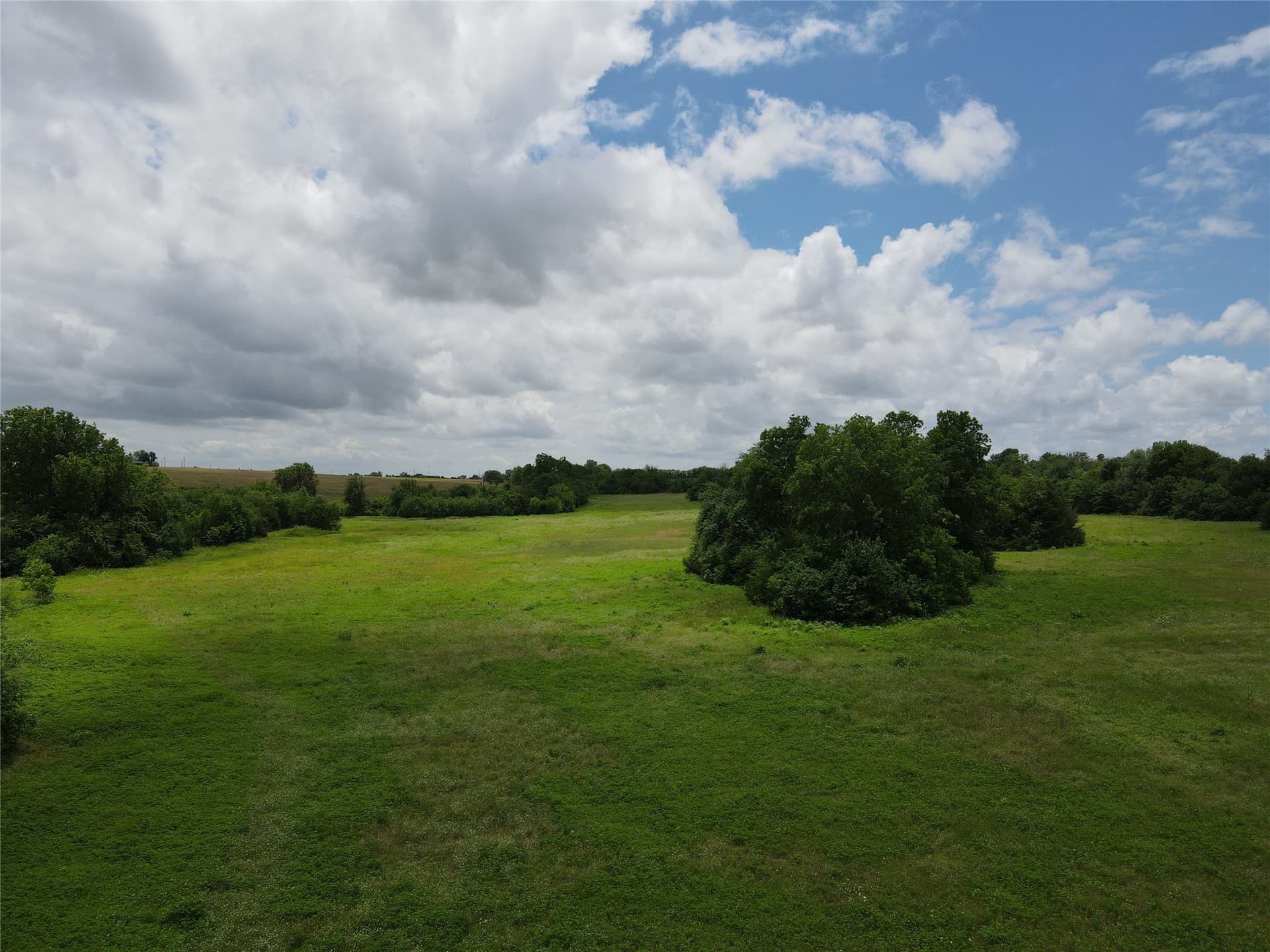 10.8 acres in Fannin County - photo 11