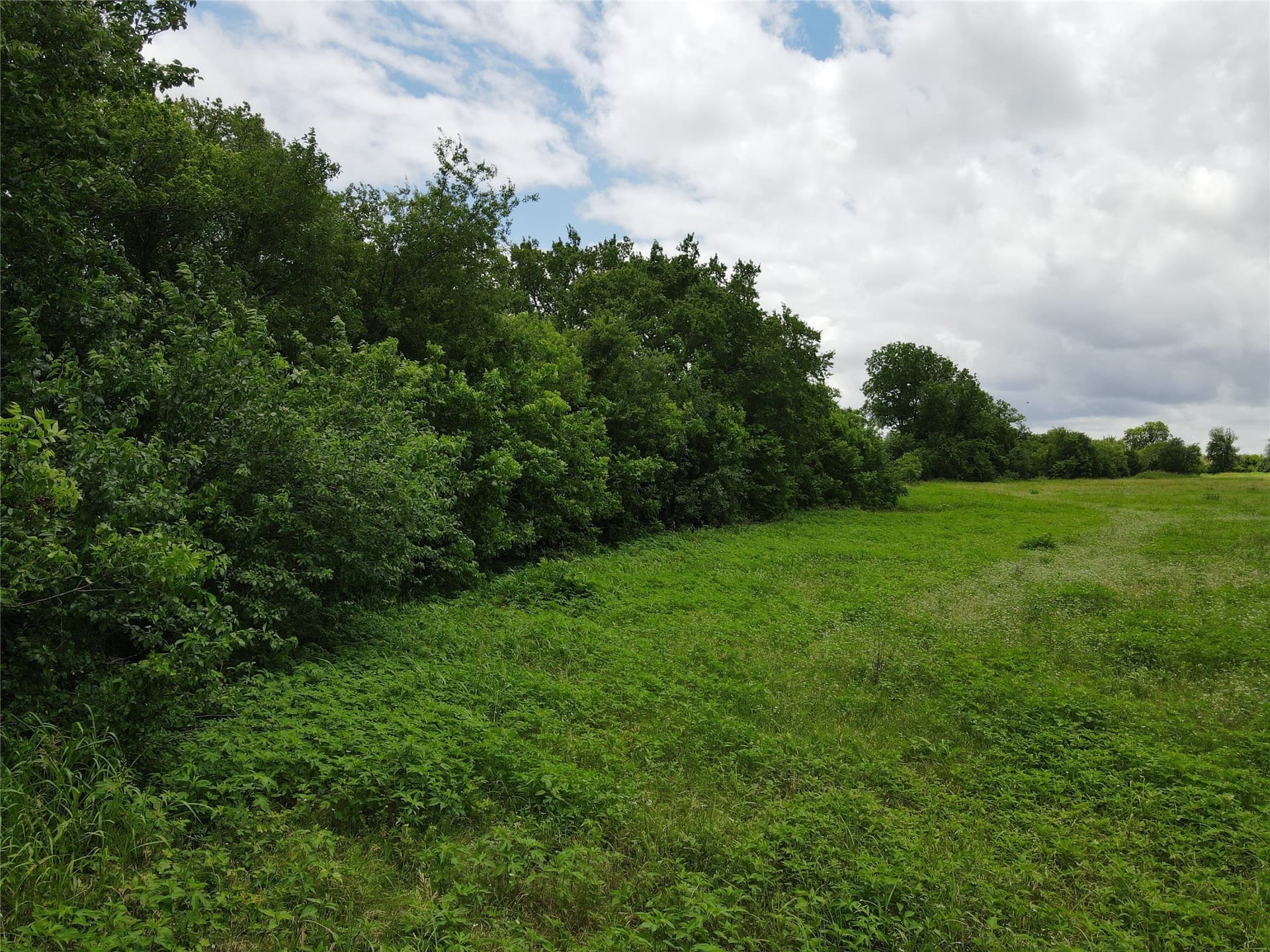 10.8 acres in Fannin County - photo 14