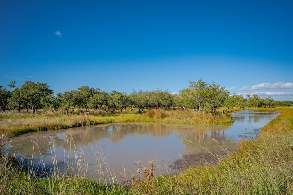 5.02 acres in Texas County - photo 7
