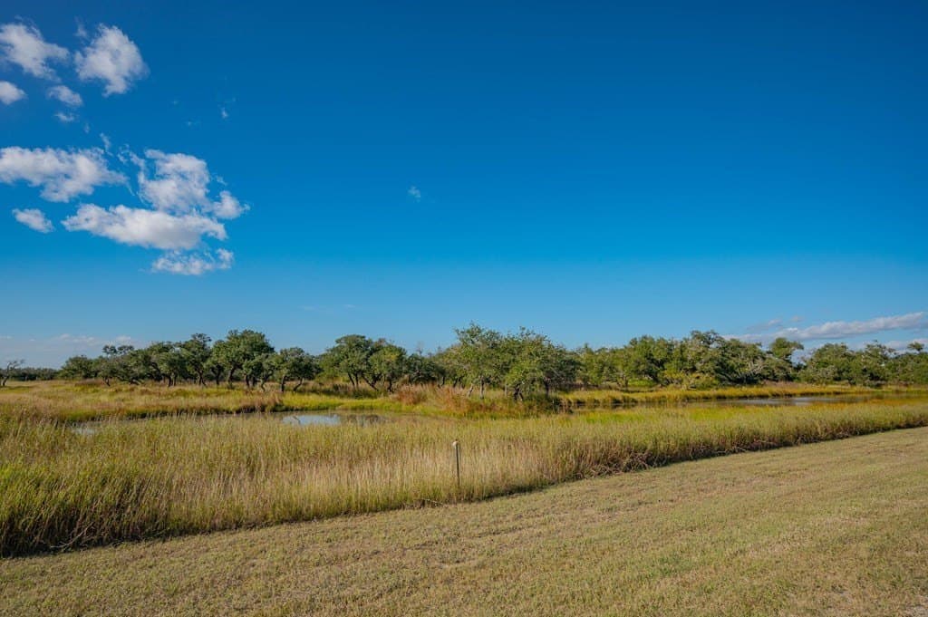 5.02 acres in Texas County - photo 6