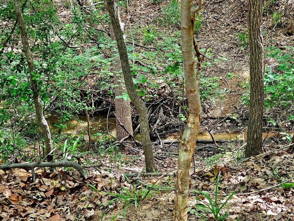 0.46 acres in Henderson County gallery image 3