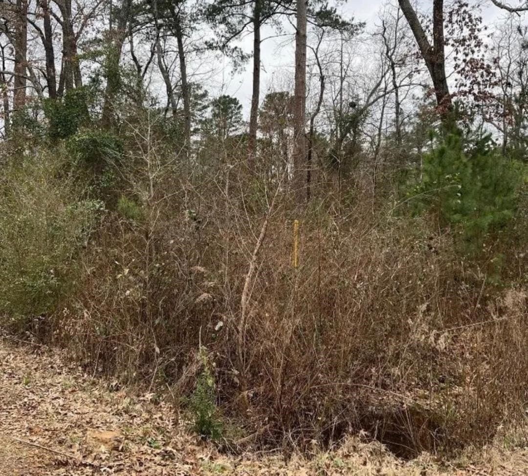 0.12 acres in Texas County