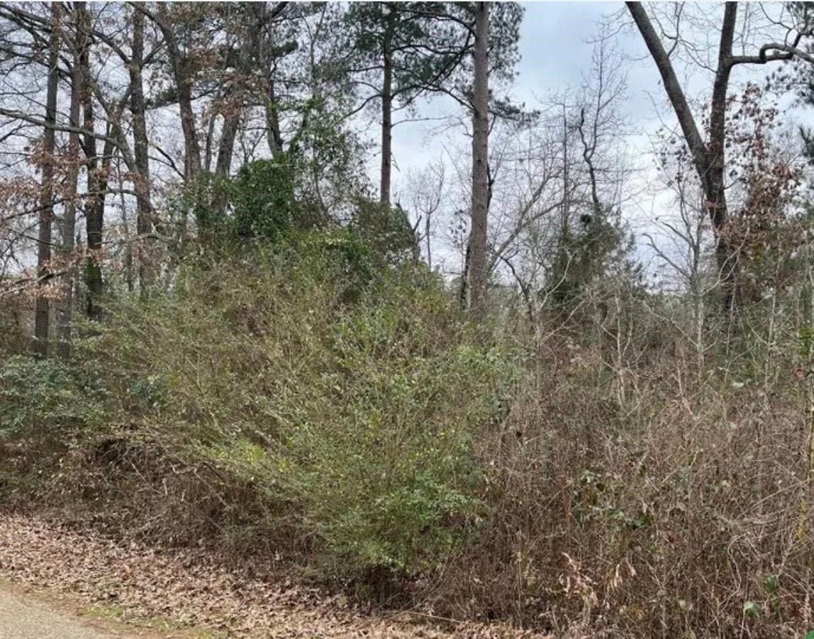 0.12 acres in Texas County gallery image 2