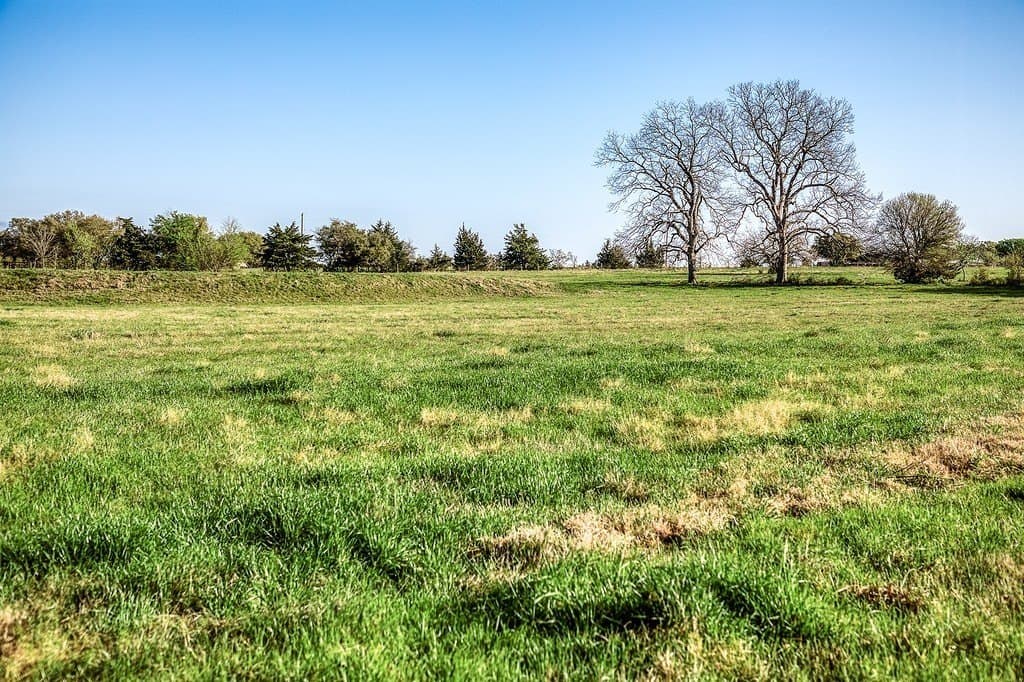 20 acres in Washington County - photo 5