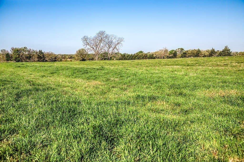 20 acres in Washington County - photo 9