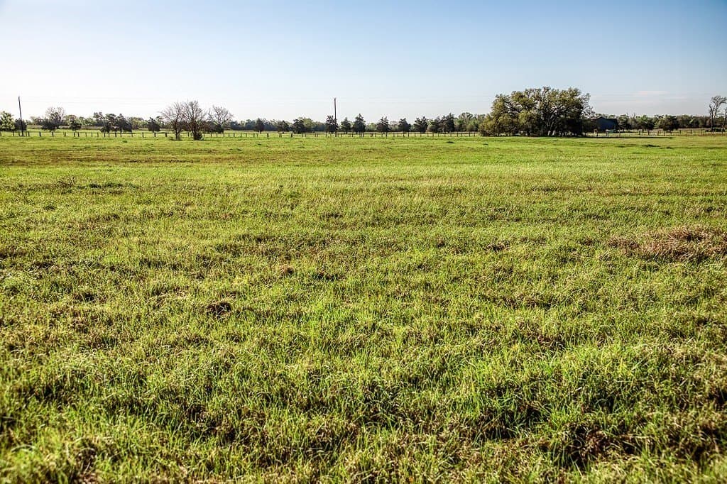 20 acres in Washington County - photo 2