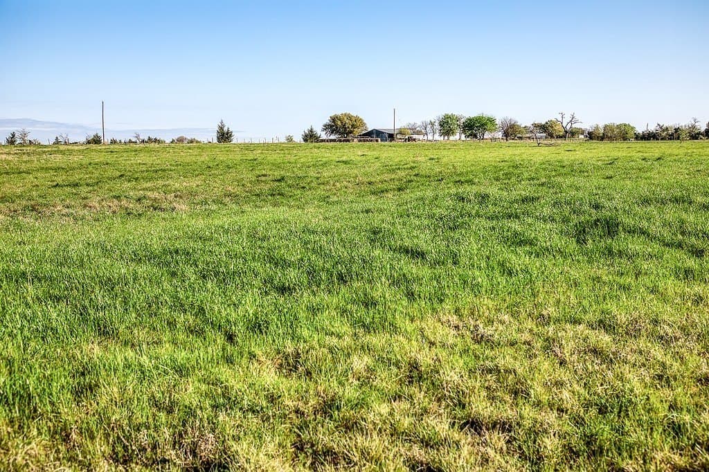 20 acres in Washington County - photo 8