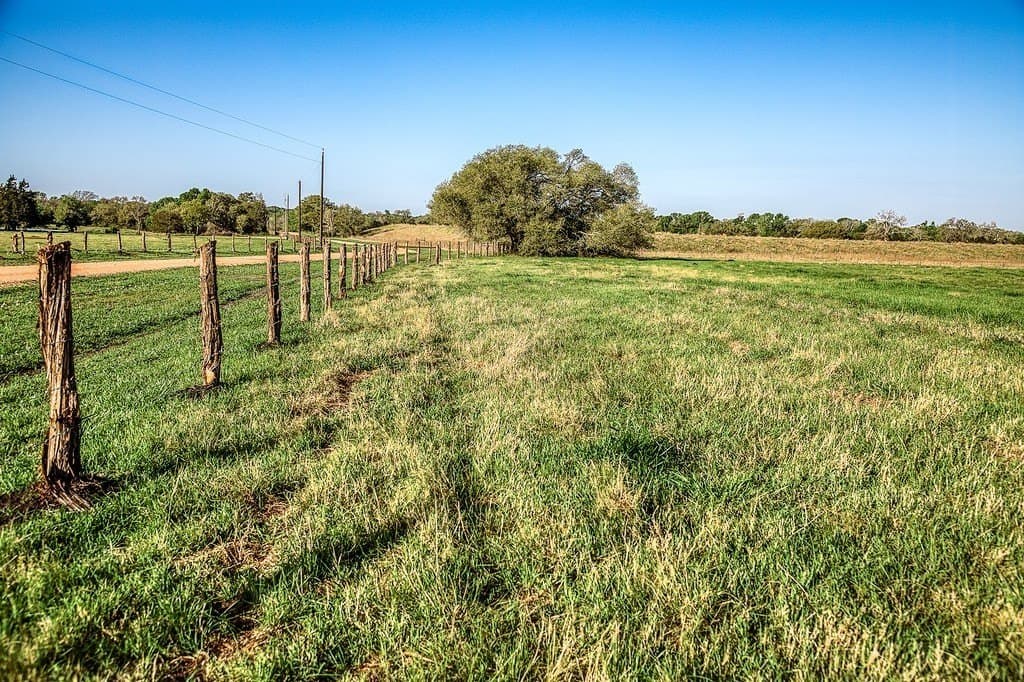 20 acres in Washington County - photo 3