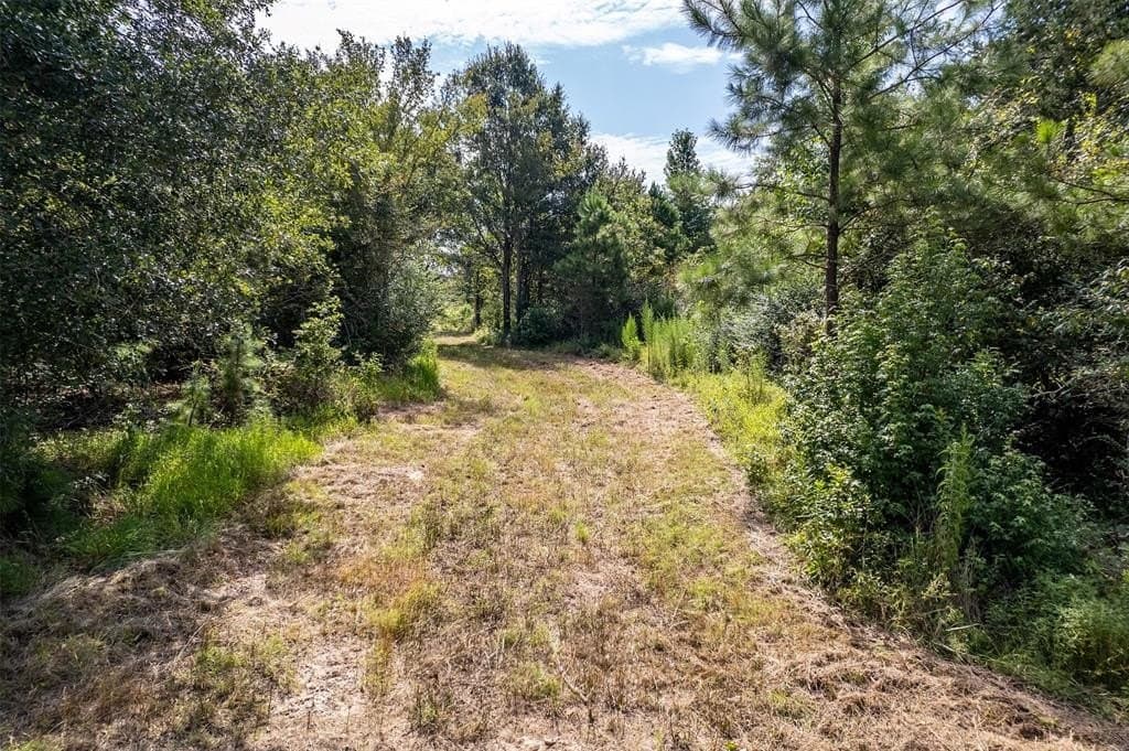 119.79 acres in Smith County featured view