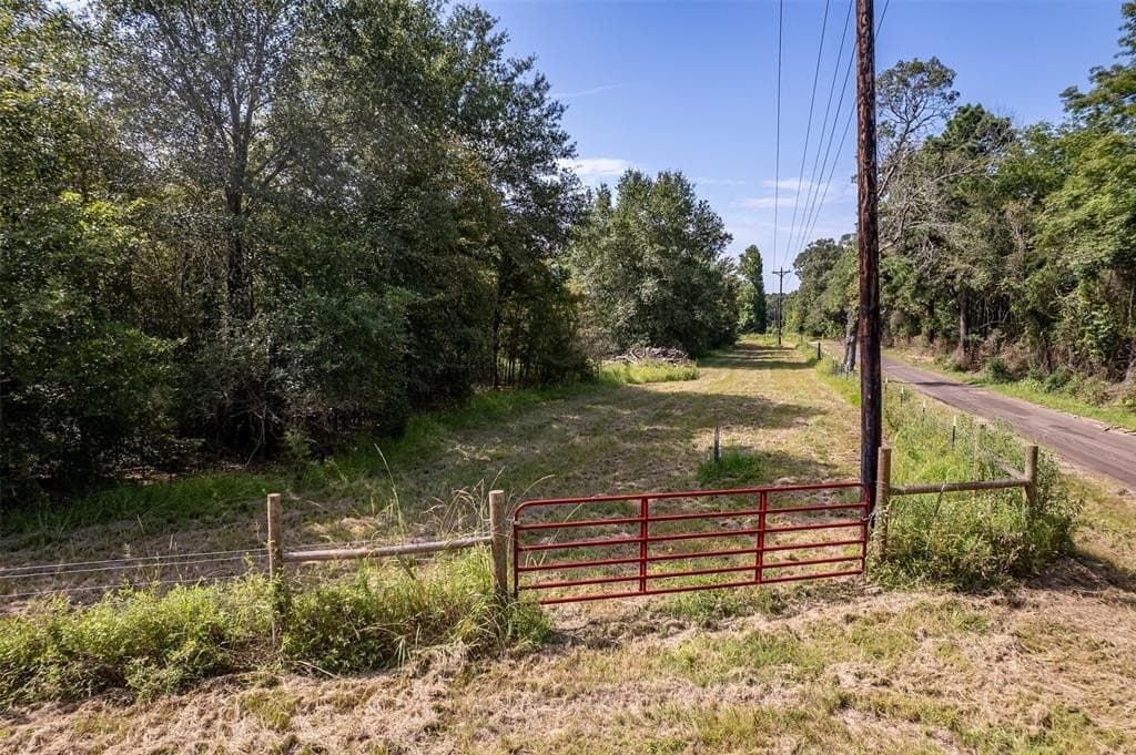 119.79 acres in Smith County gallery image 2