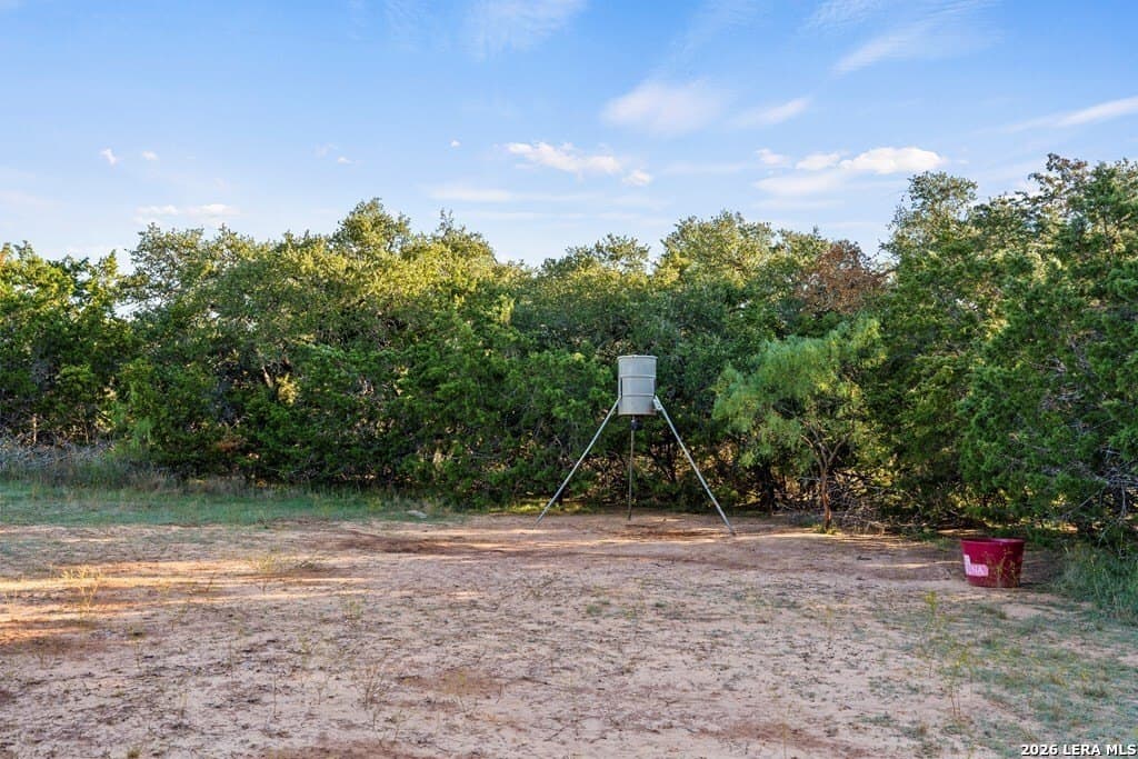 25 acres in Gillespie County - photo 8