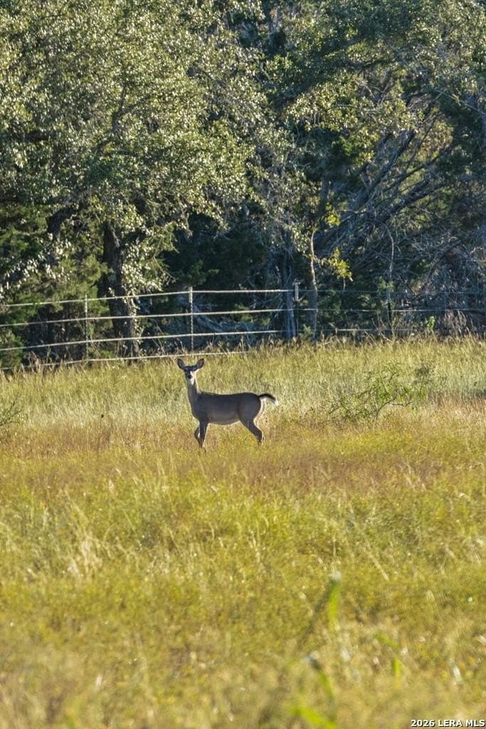 25 acres in Gillespie County - photo 2