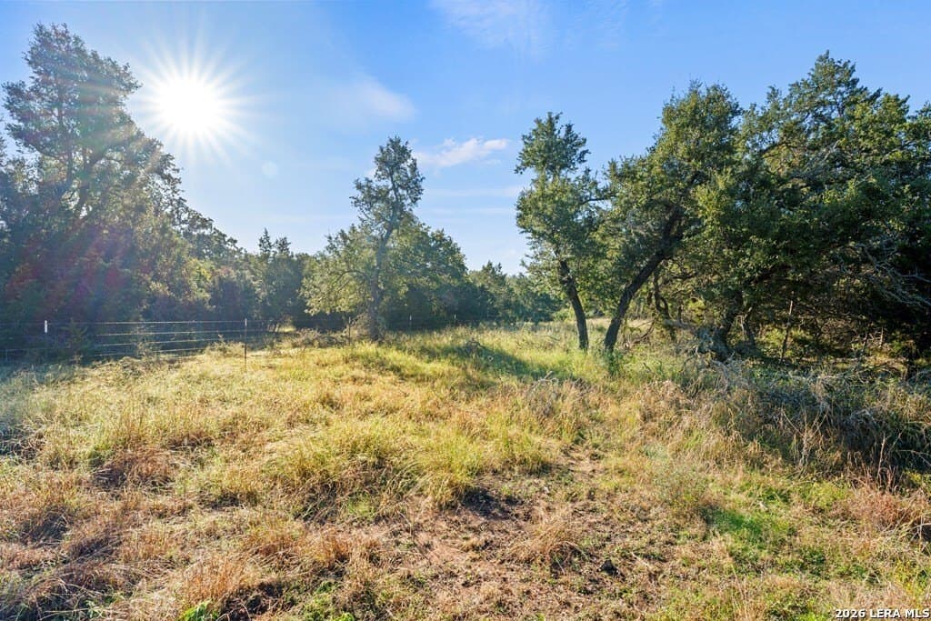 25 acres in Gillespie County - photo 15