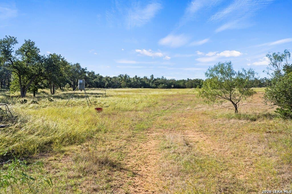 25 acres in Gillespie County - photo 10