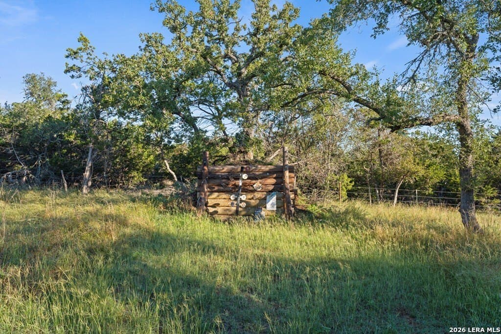 25 acres in Gillespie County - photo 9