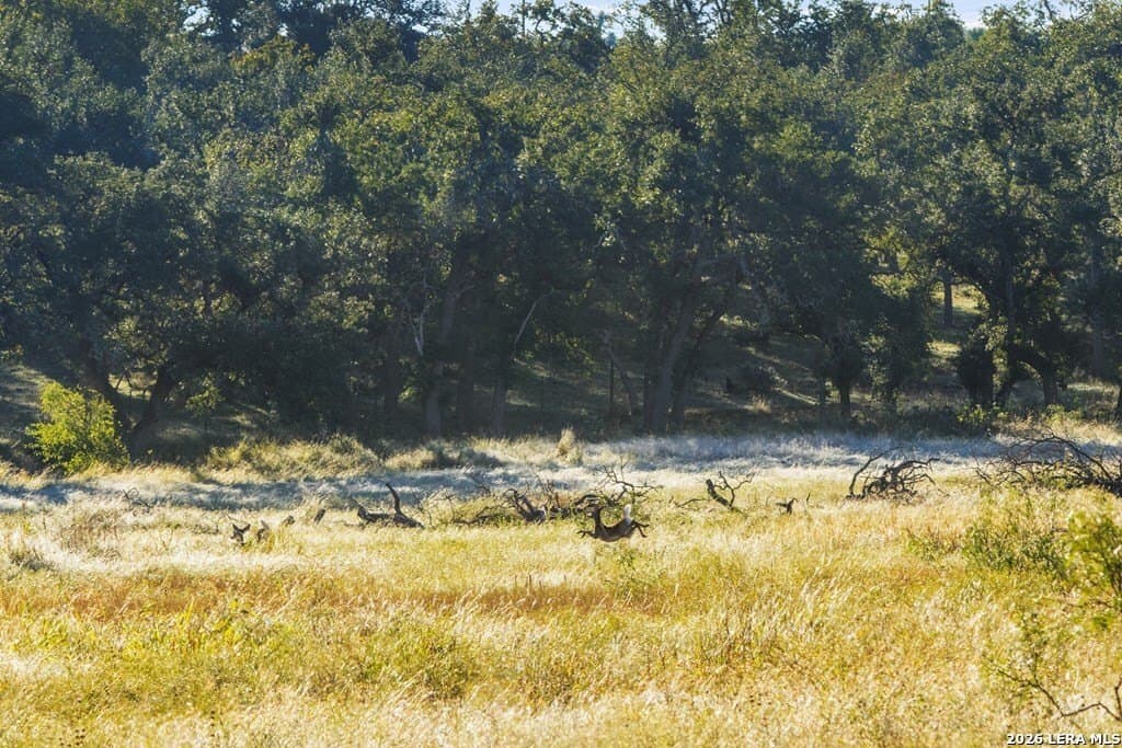 25 acres in Gillespie County - photo 3