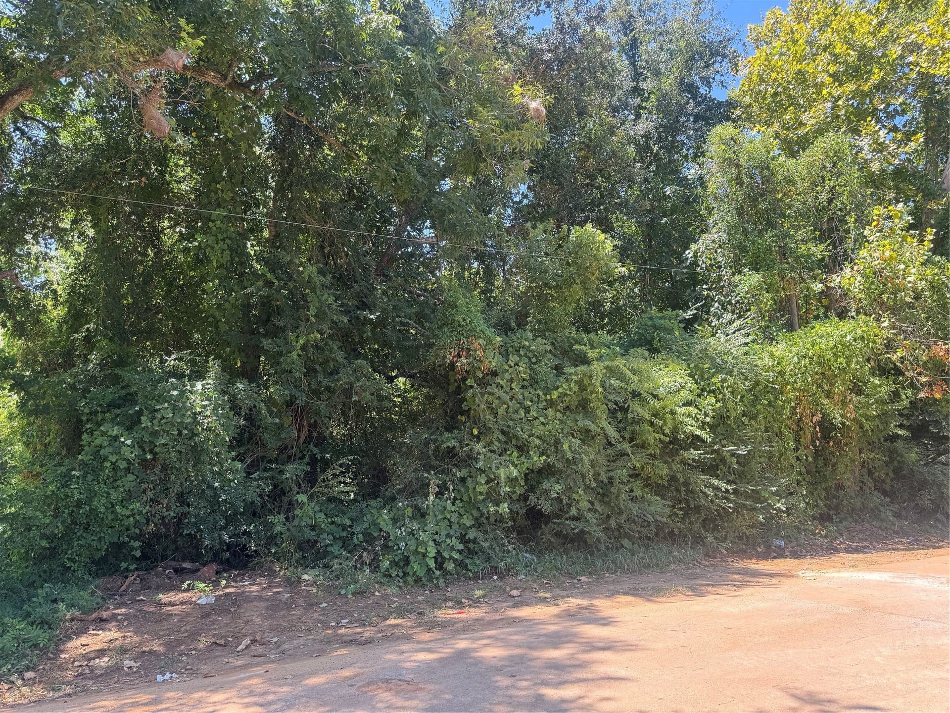 0.33 acres in Cherokee County gallery image 3