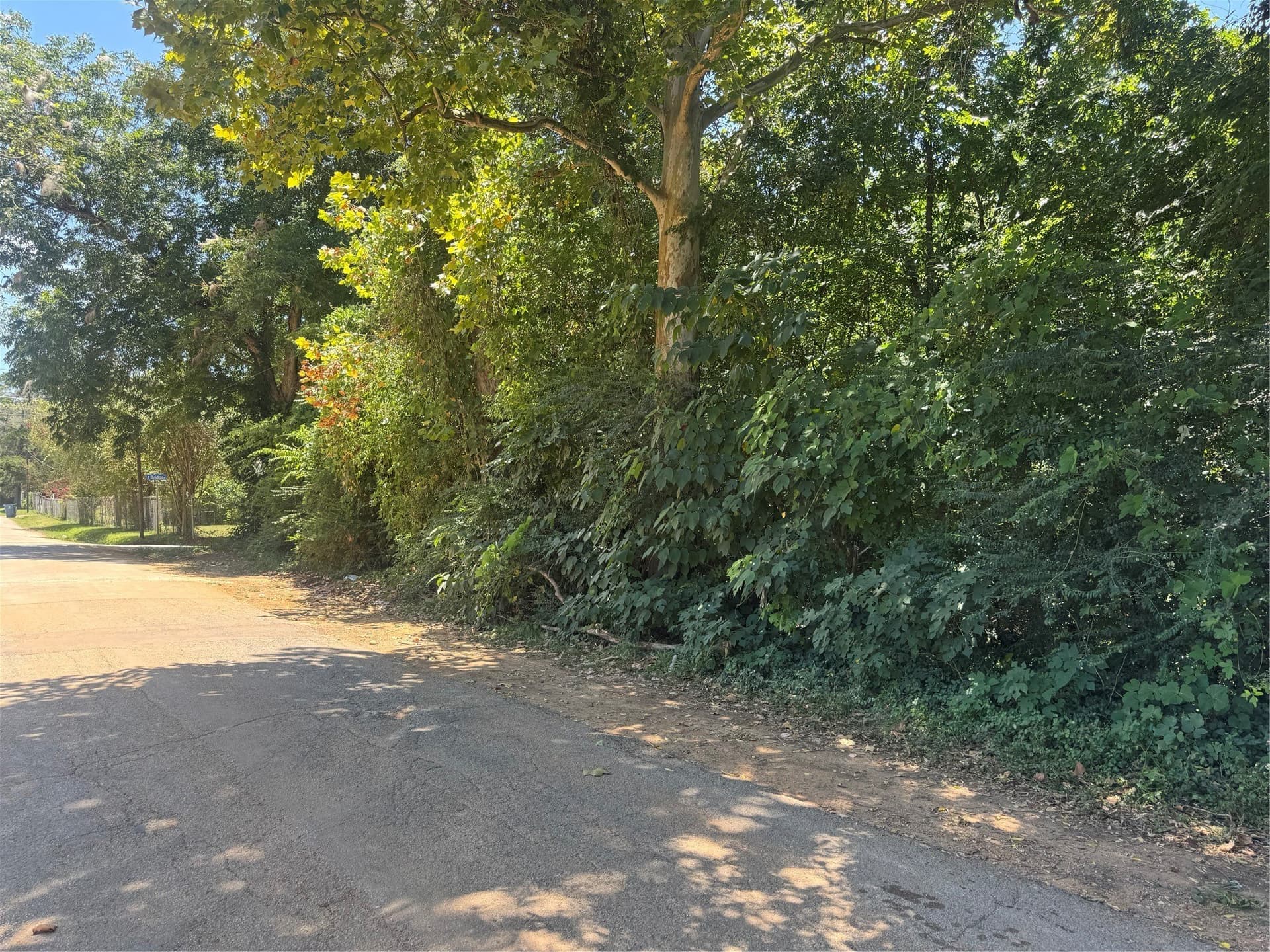 0.33 acres in Cherokee County gallery image 2