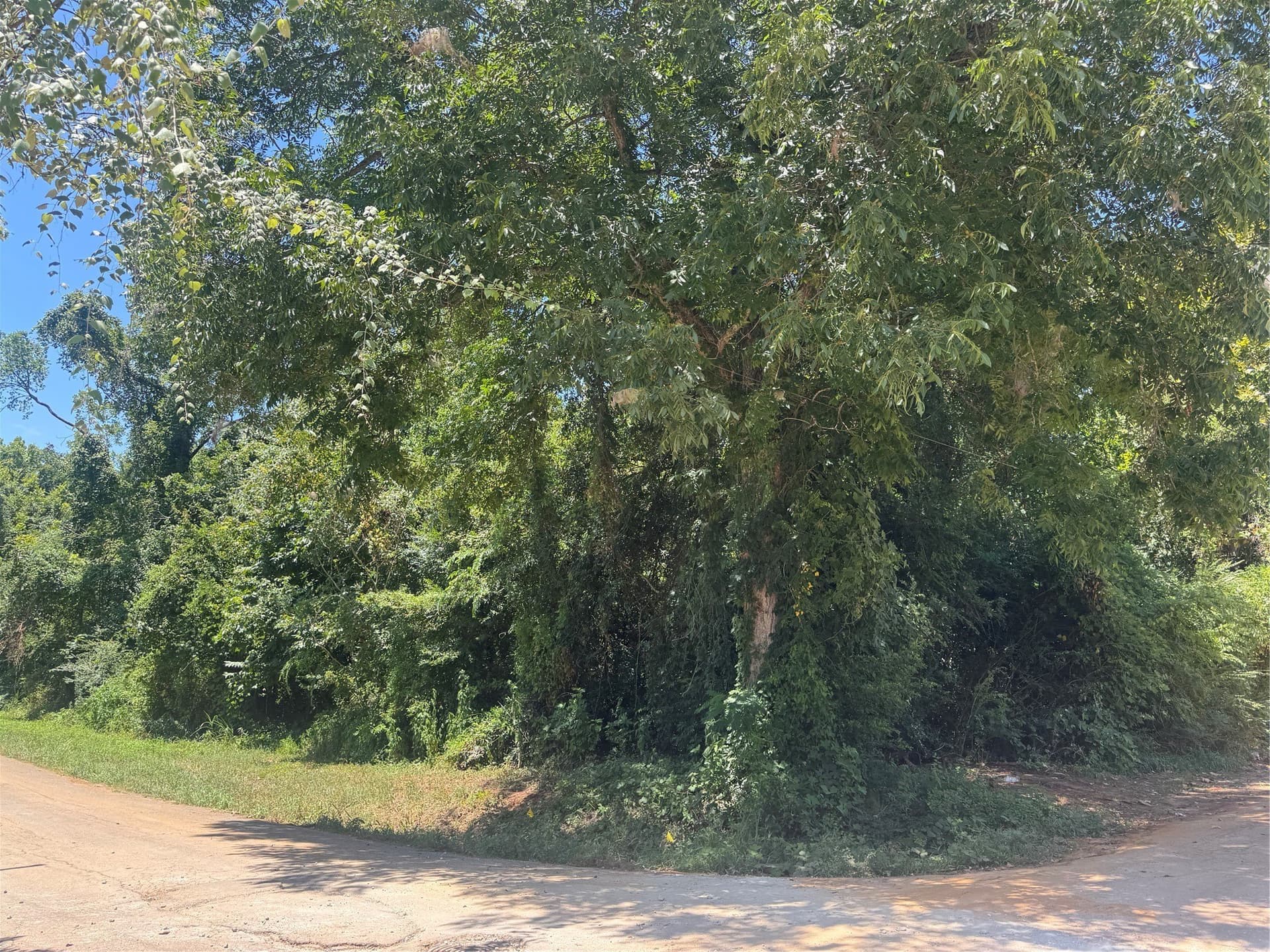 0.33 acres in Cherokee County