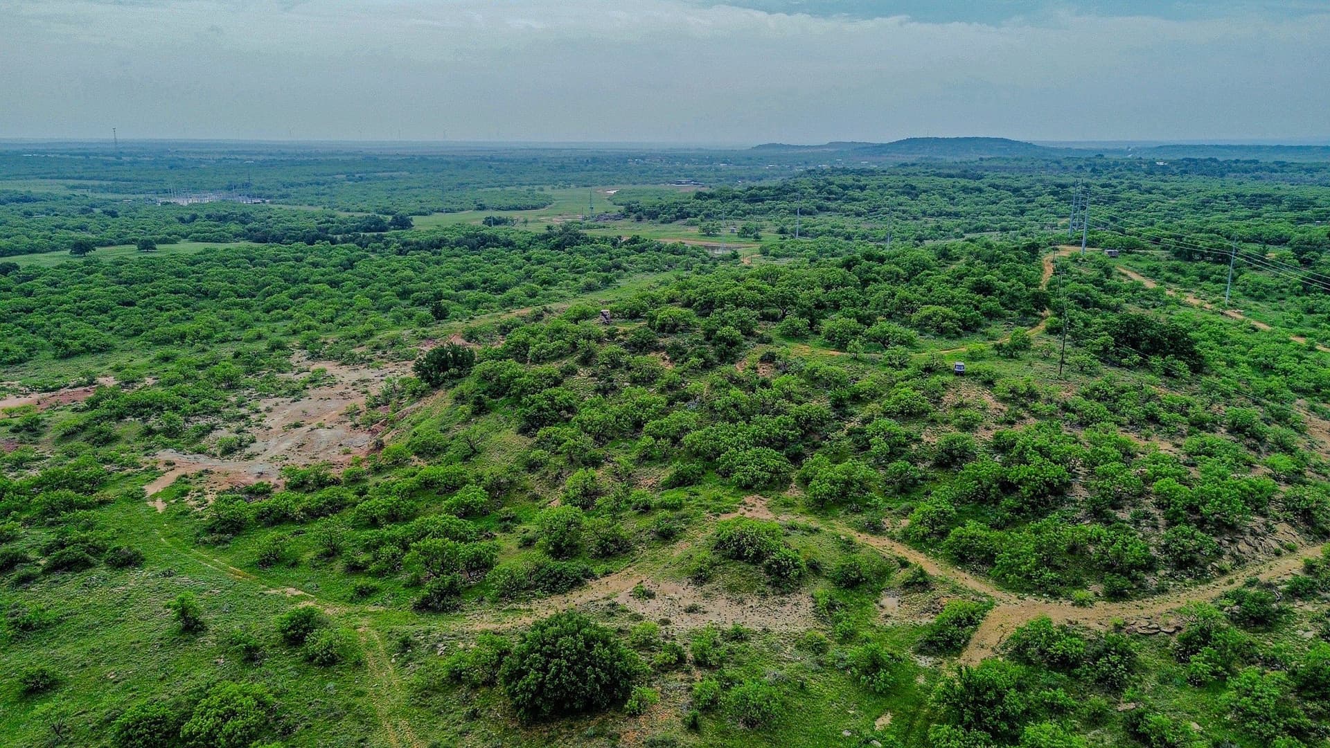 491.08 acres in Callahan County - photo 16