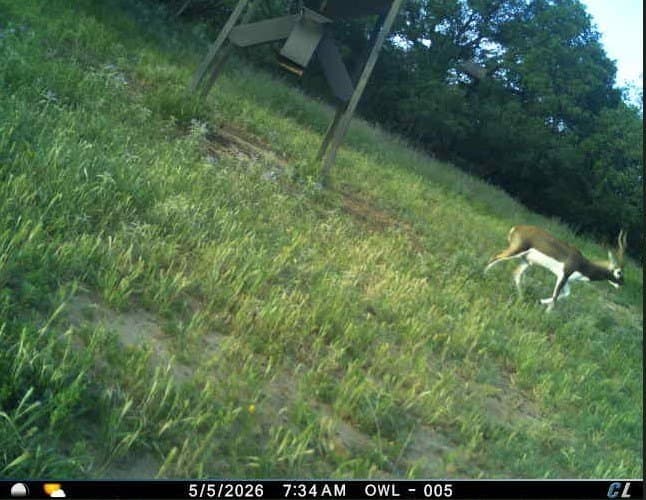 491.08 acres in Callahan County - photo 39