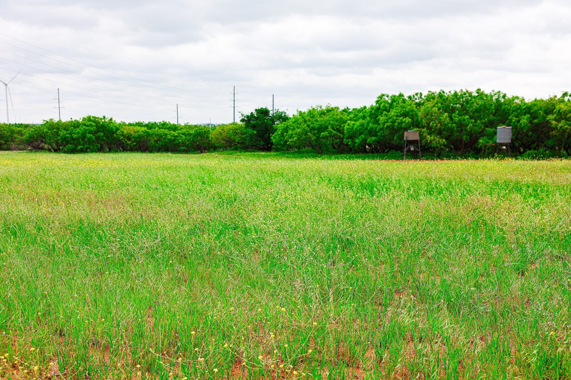 491.08 acres in Callahan County - photo 18