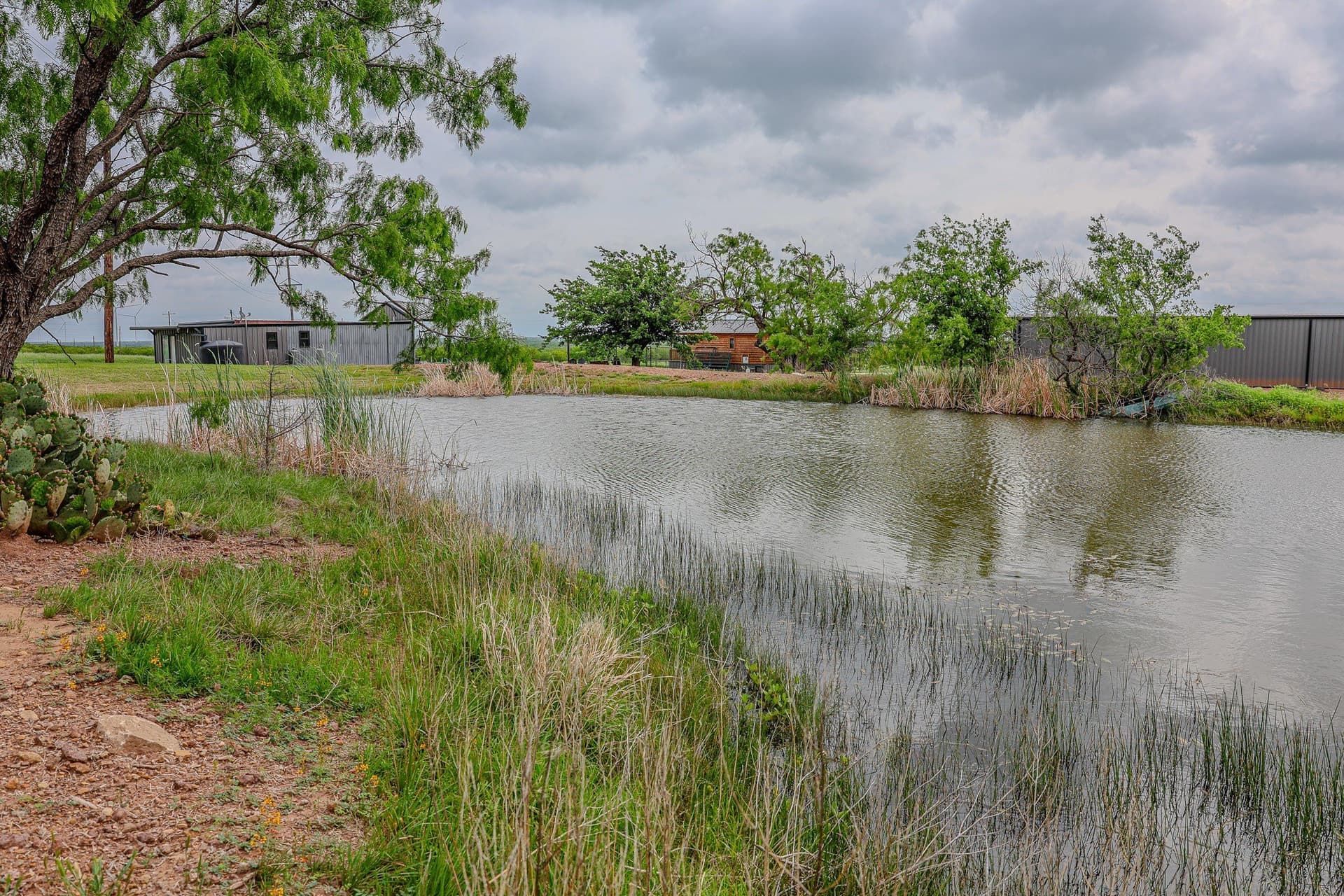 491.08 acres in Callahan County - photo 11