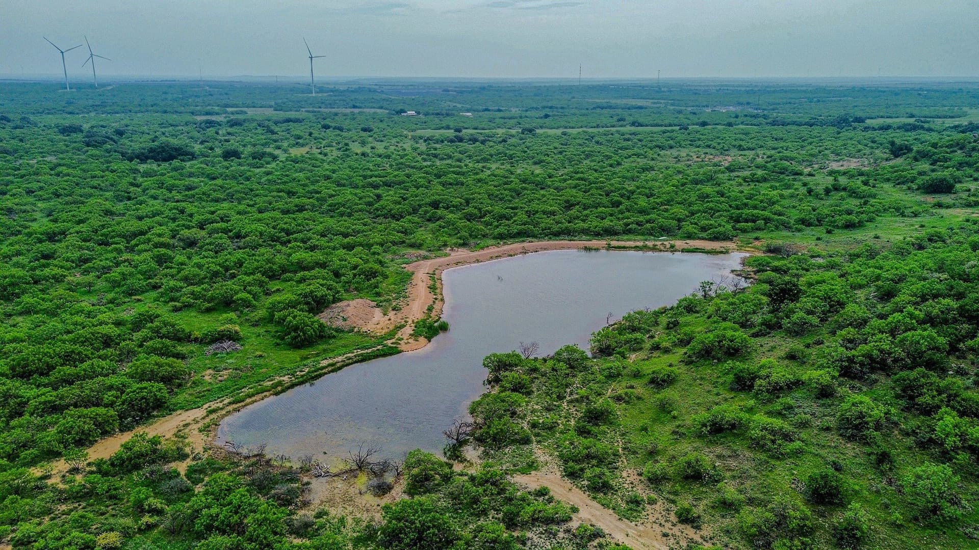 491.08 acres in Callahan County - photo 10