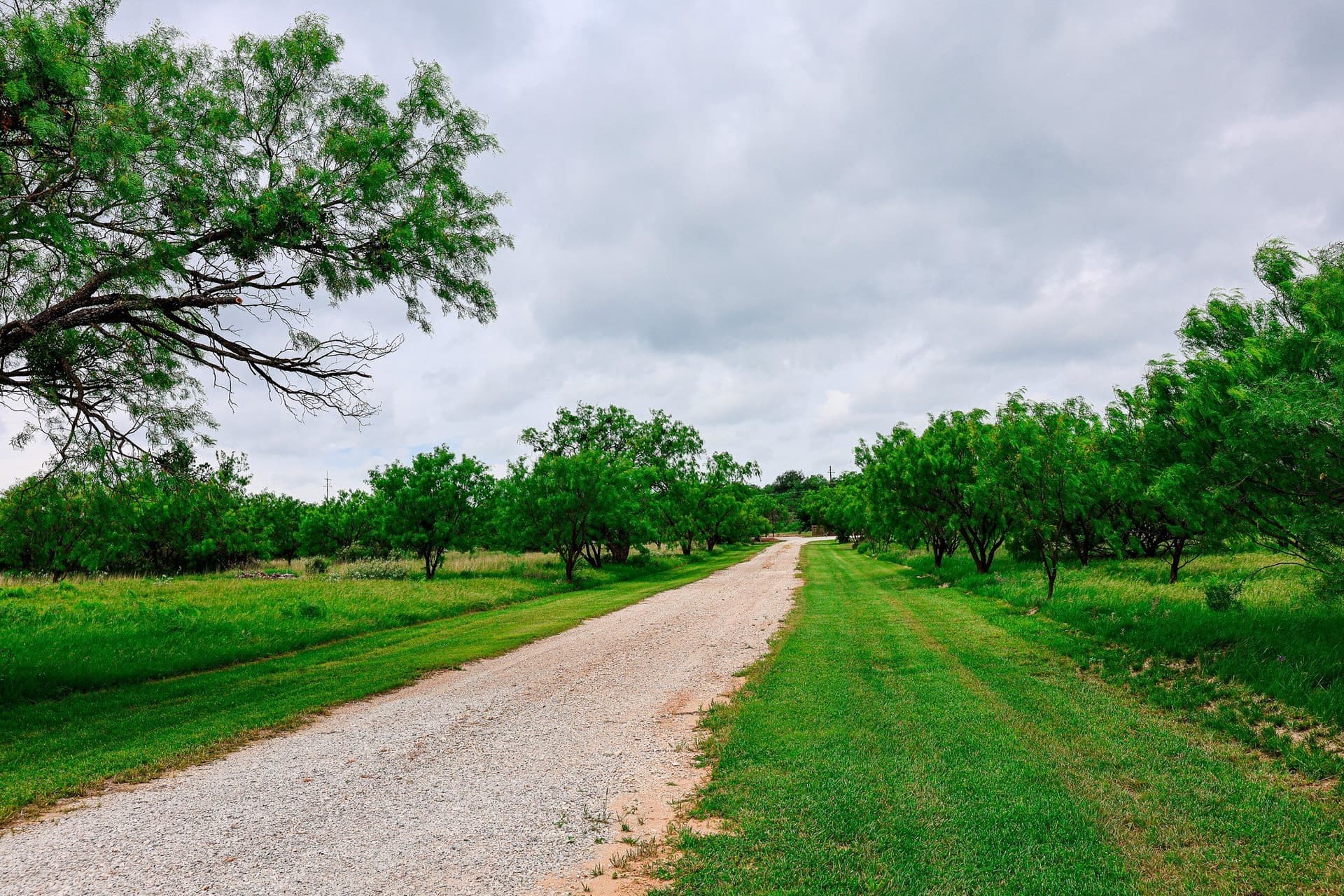 491.08 acres in Callahan County - photo 32