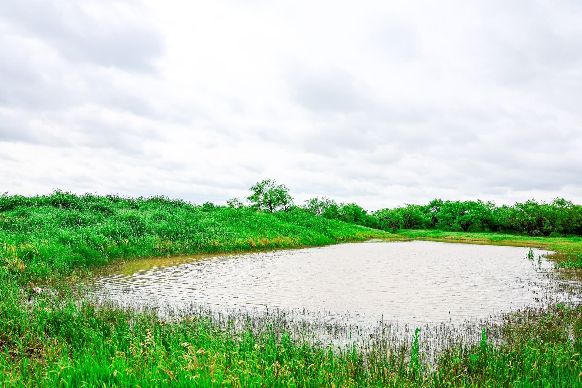491.08 acres in Callahan County - photo 26
