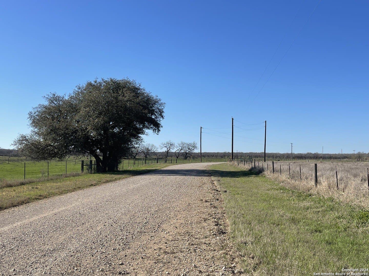 14 acres in Atascosa County - photo 4