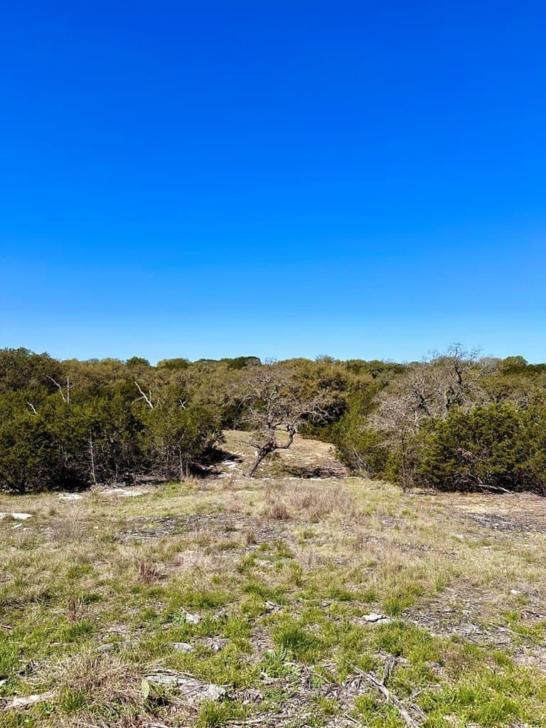 10.01 acres in San Saba County - photo 17