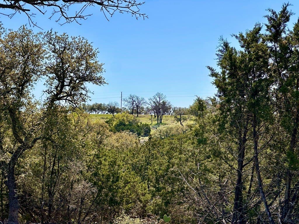 10.01 acres in San Saba County - photo 3