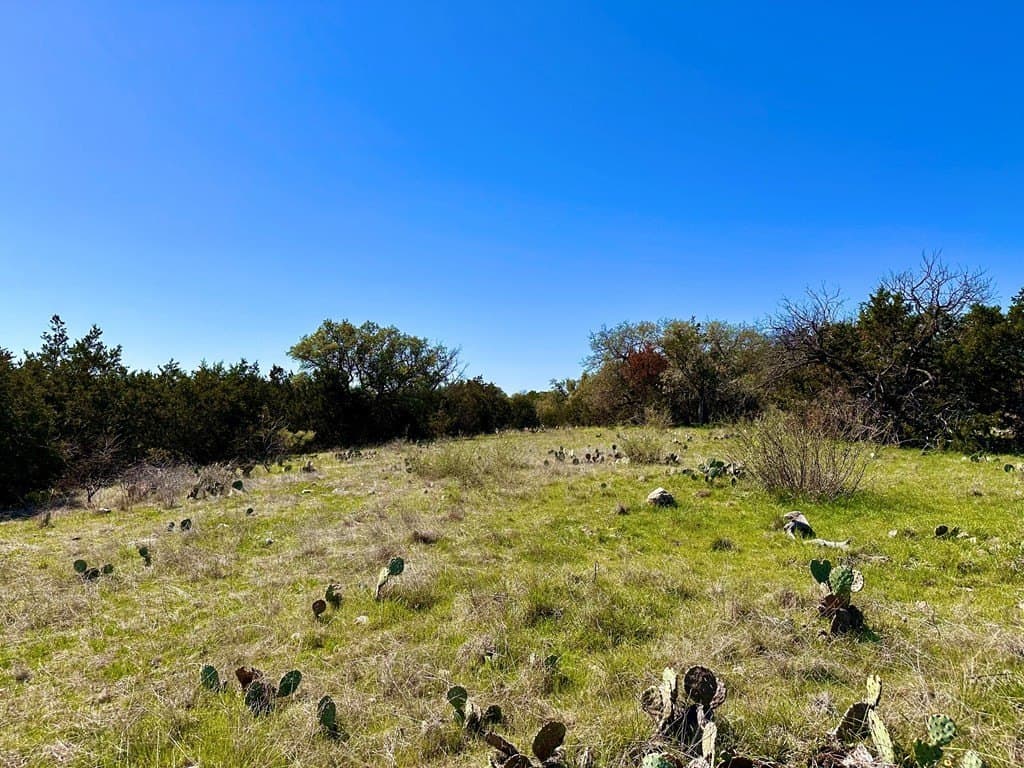 10.01 acres in San Saba County - photo 28