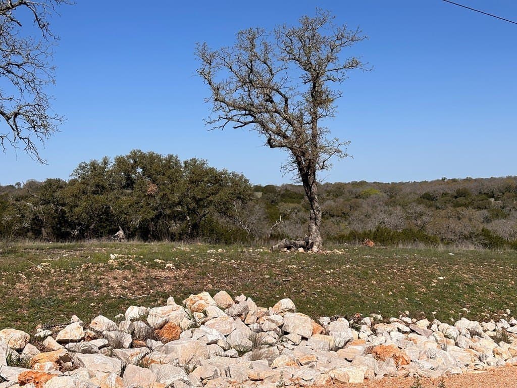 10.01 acres in San Saba County - photo 6