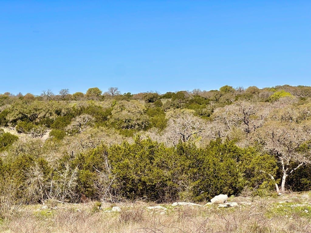 10.01 acres in San Saba County - photo 30