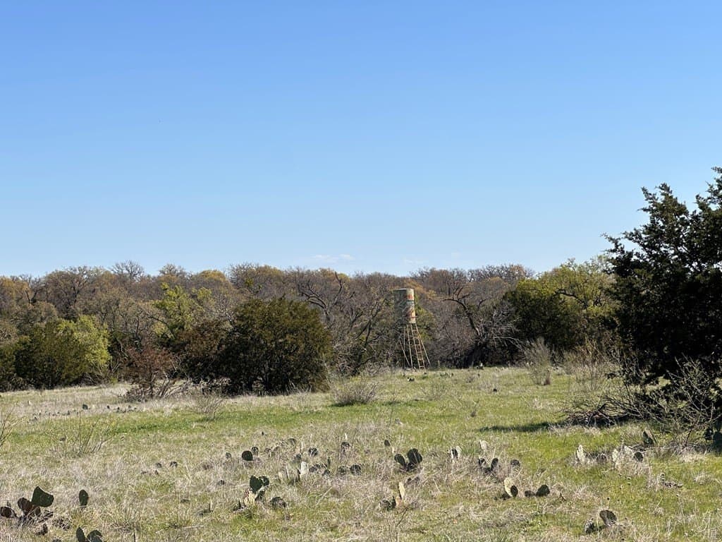 10.01 acres in San Saba County - photo 29