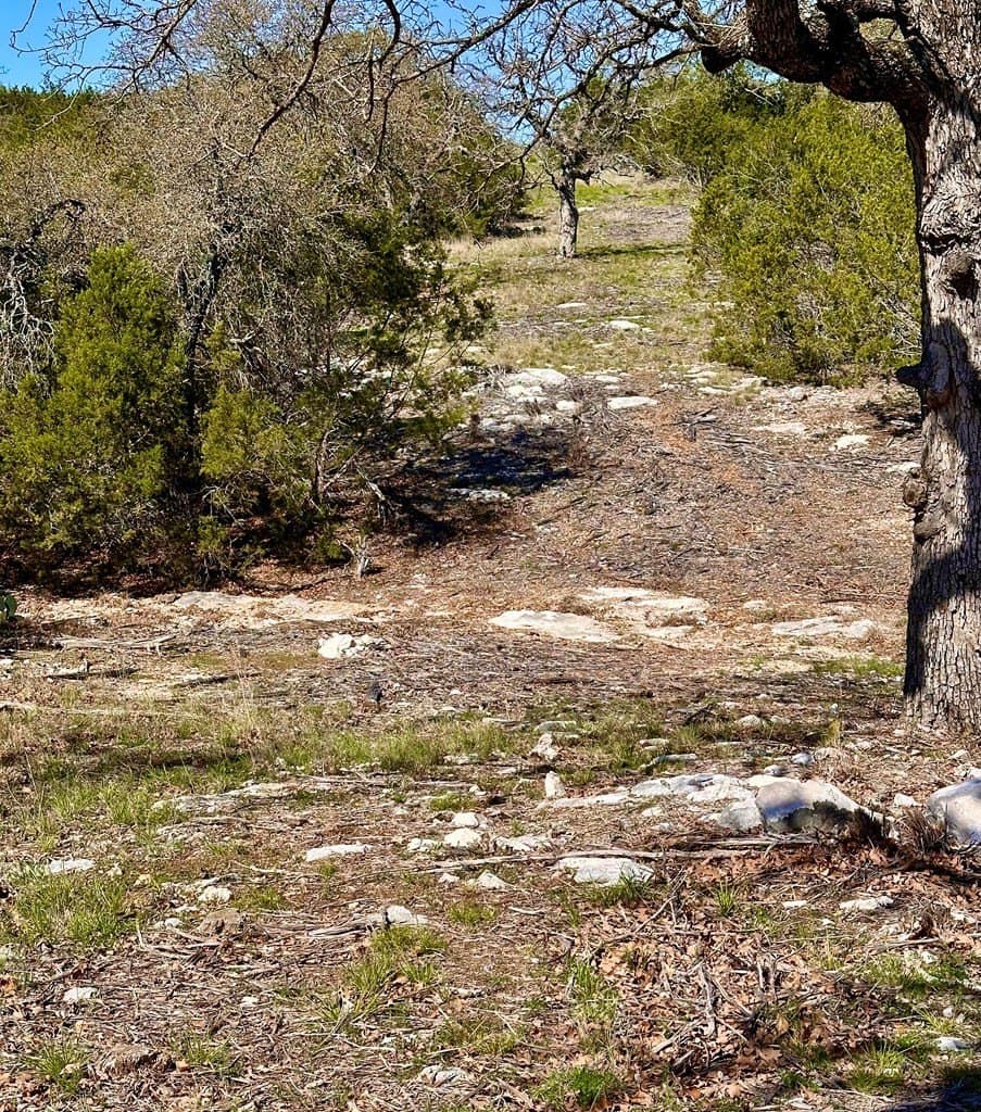 10.01 acres in San Saba County - photo 34