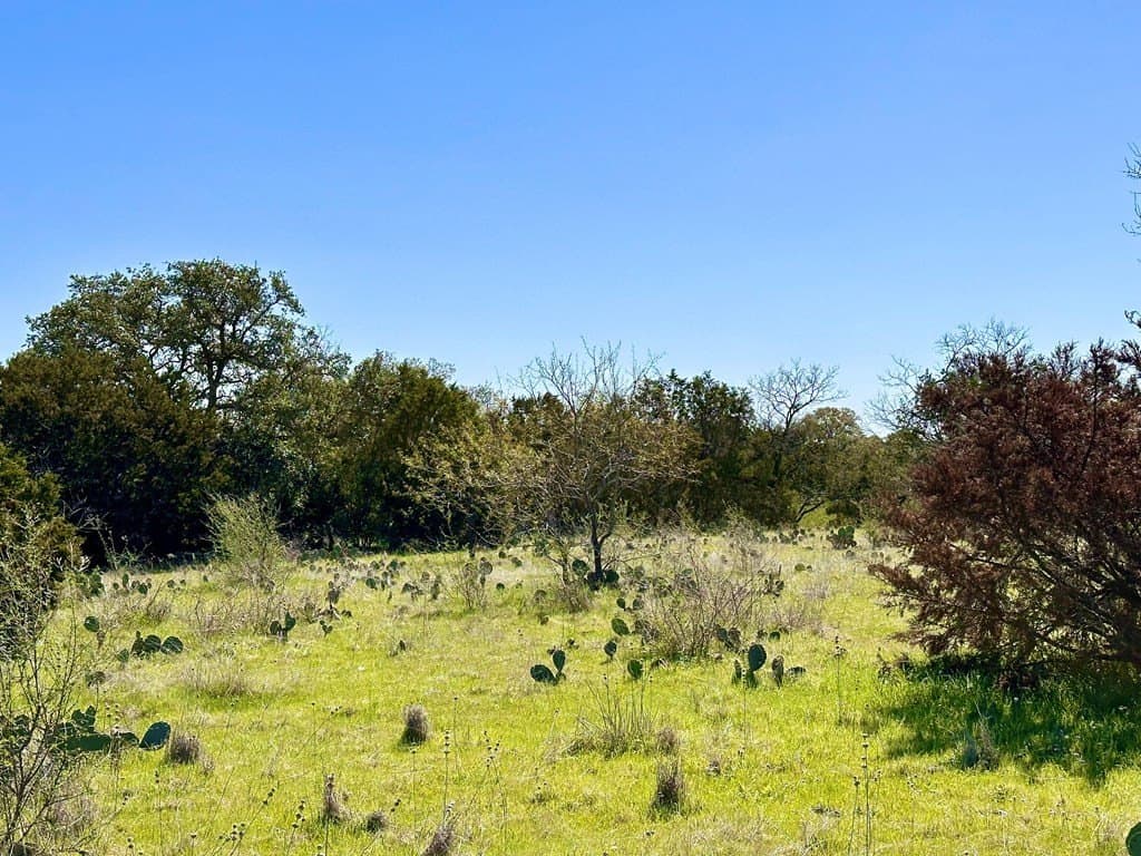 10.01 acres in San Saba County - photo 22