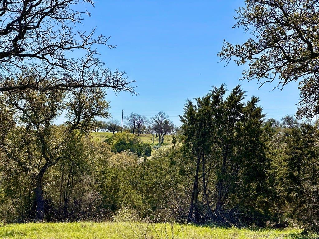 10.01 acres in San Saba County - photo 2