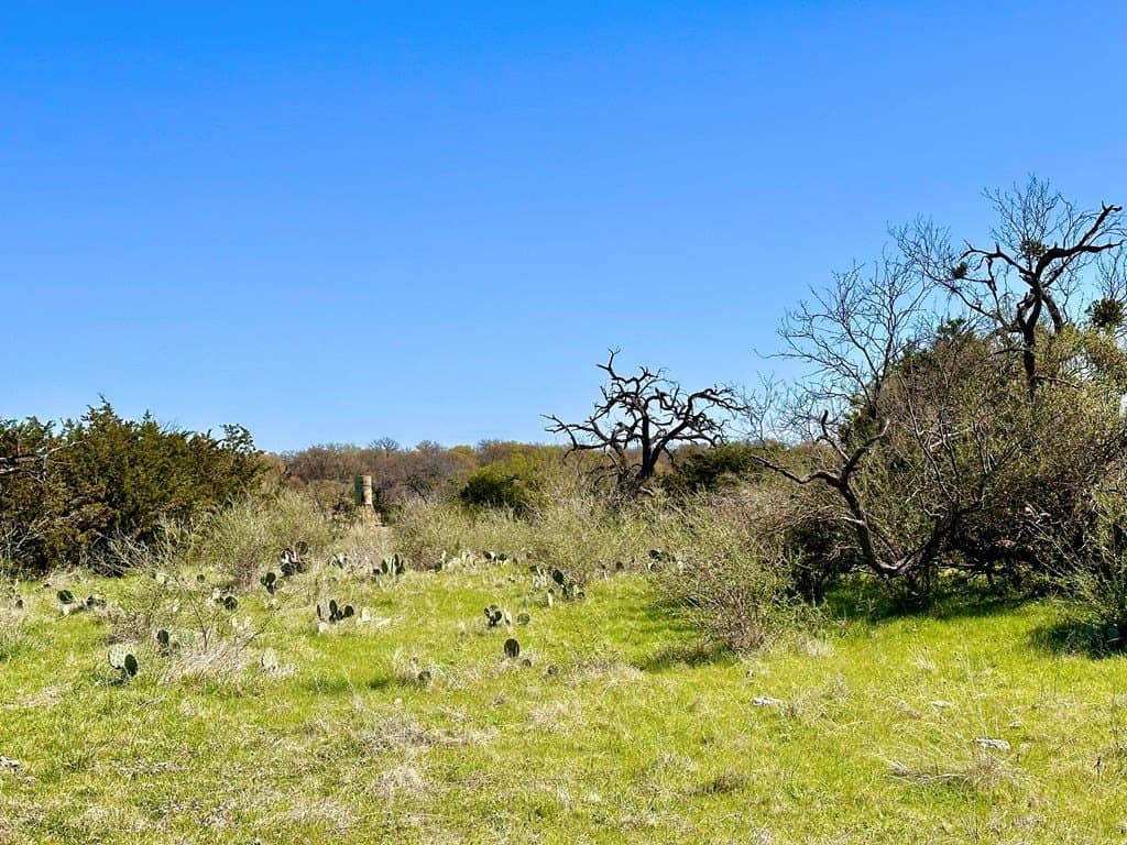 10.01 acres in San Saba County - photo 23