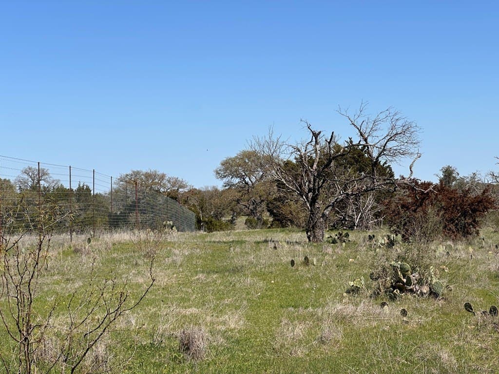10.01 acres in San Saba County - photo 25