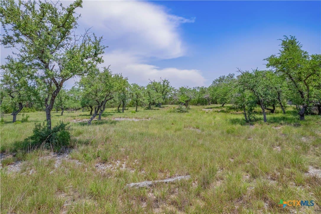 1.04 acres in Comal County - photo 6